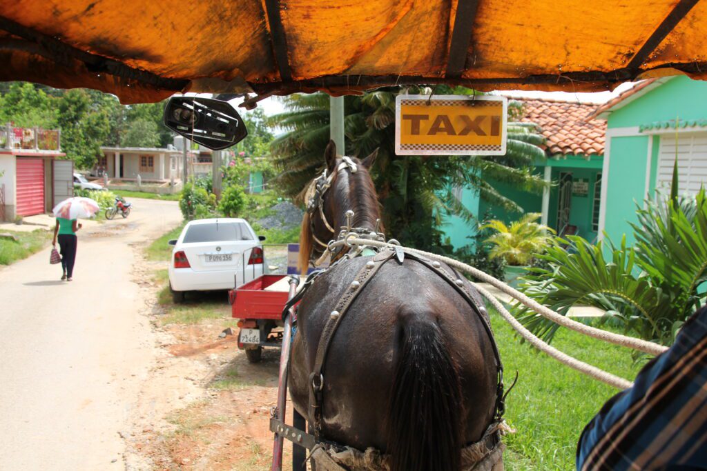 Paard en koets in Cuba
