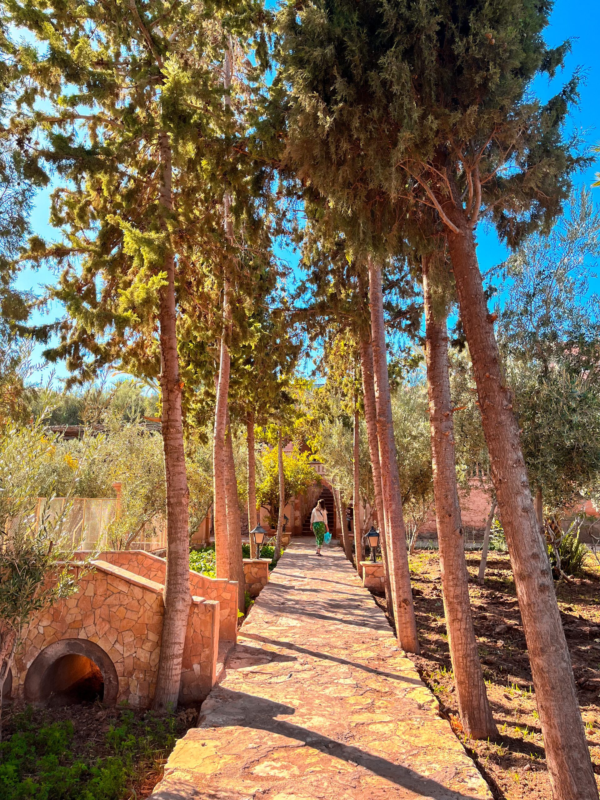 Olijfgaard, Aït-Ben-Haddou, Marokko