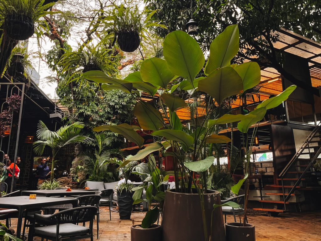 Asian Fusion, Kampala