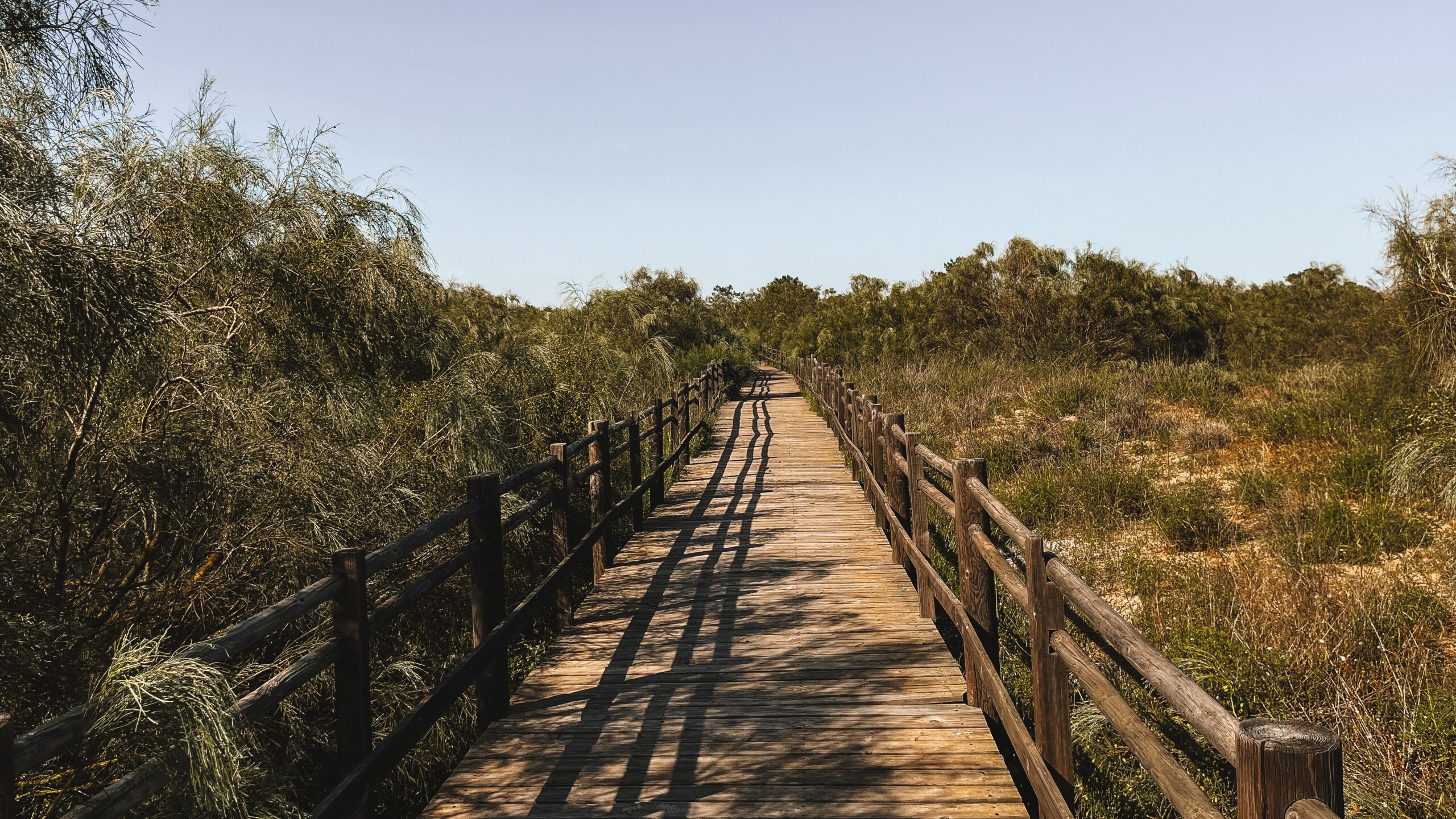 De promenade naar Praia de Santo António in Portugal