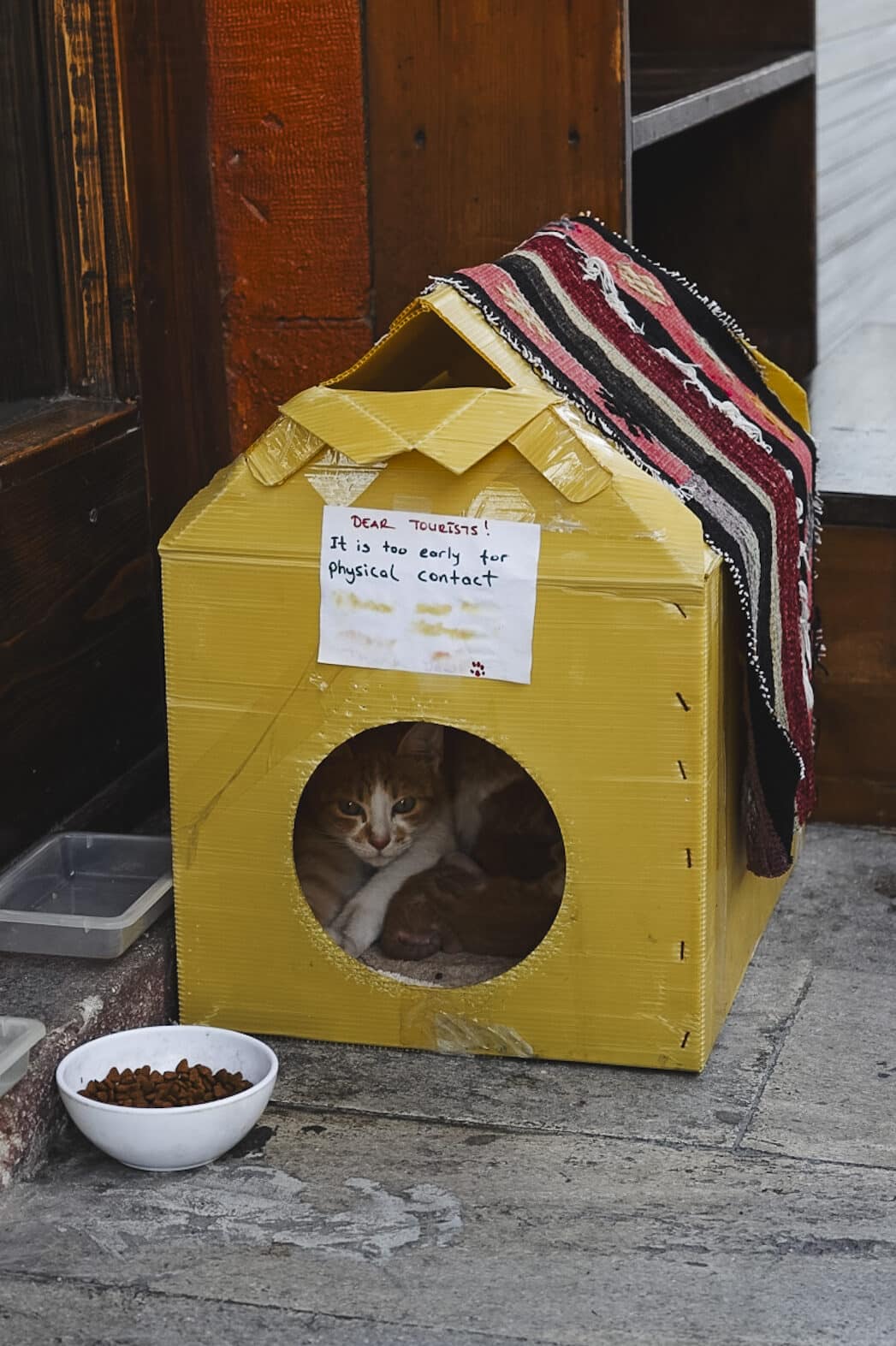 Kattenhuisje in Istanbul, Turkije.