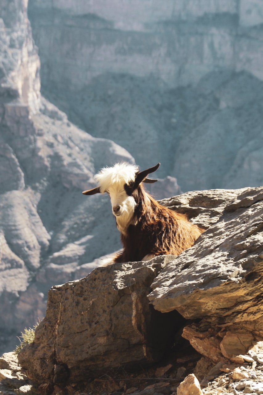 Geit Balcony Walk (W6), Jebels Shams, Oman
