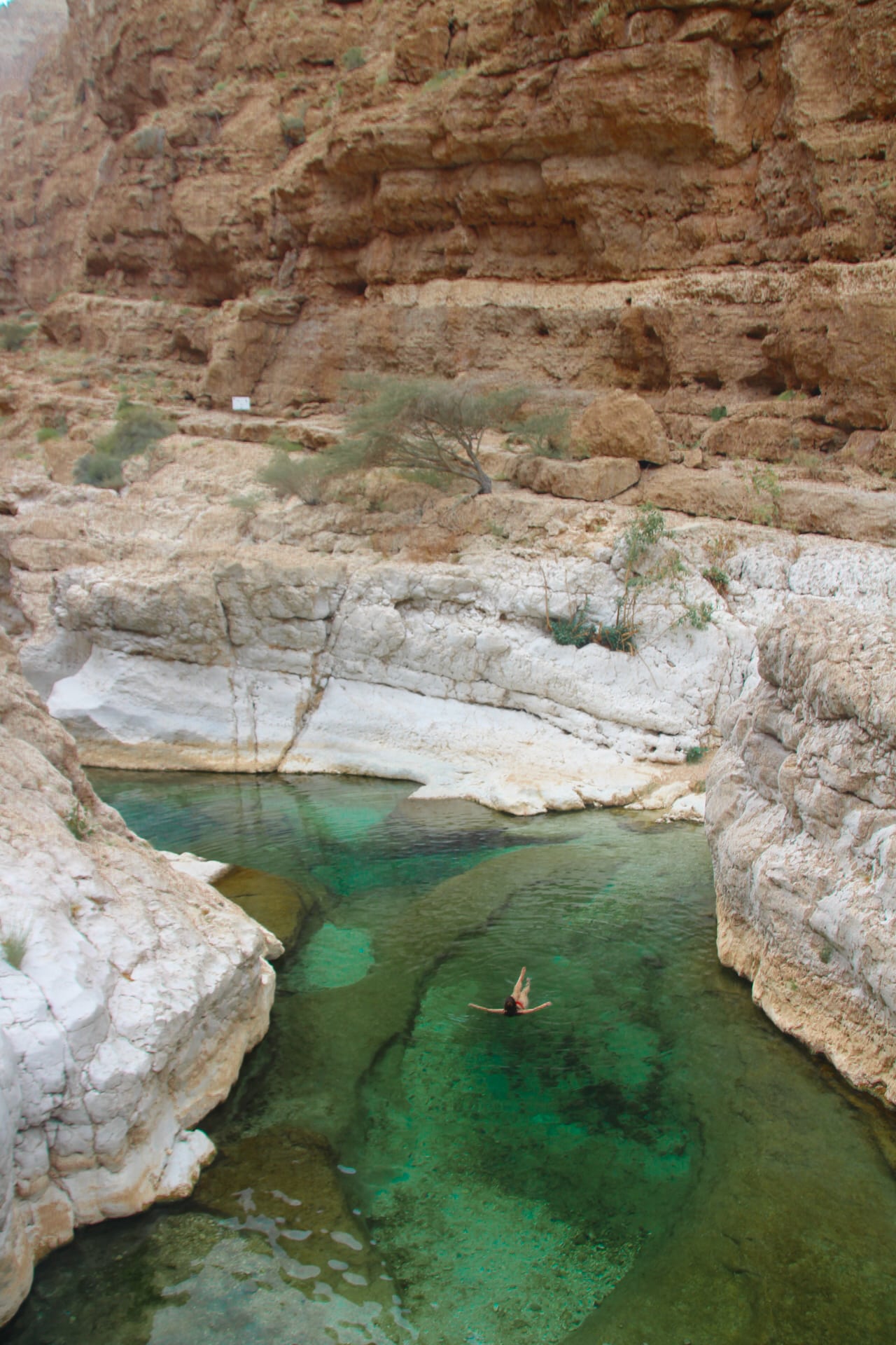 Lotte zwemt in de blauwe waterpoelen van wadi shab, Oman.