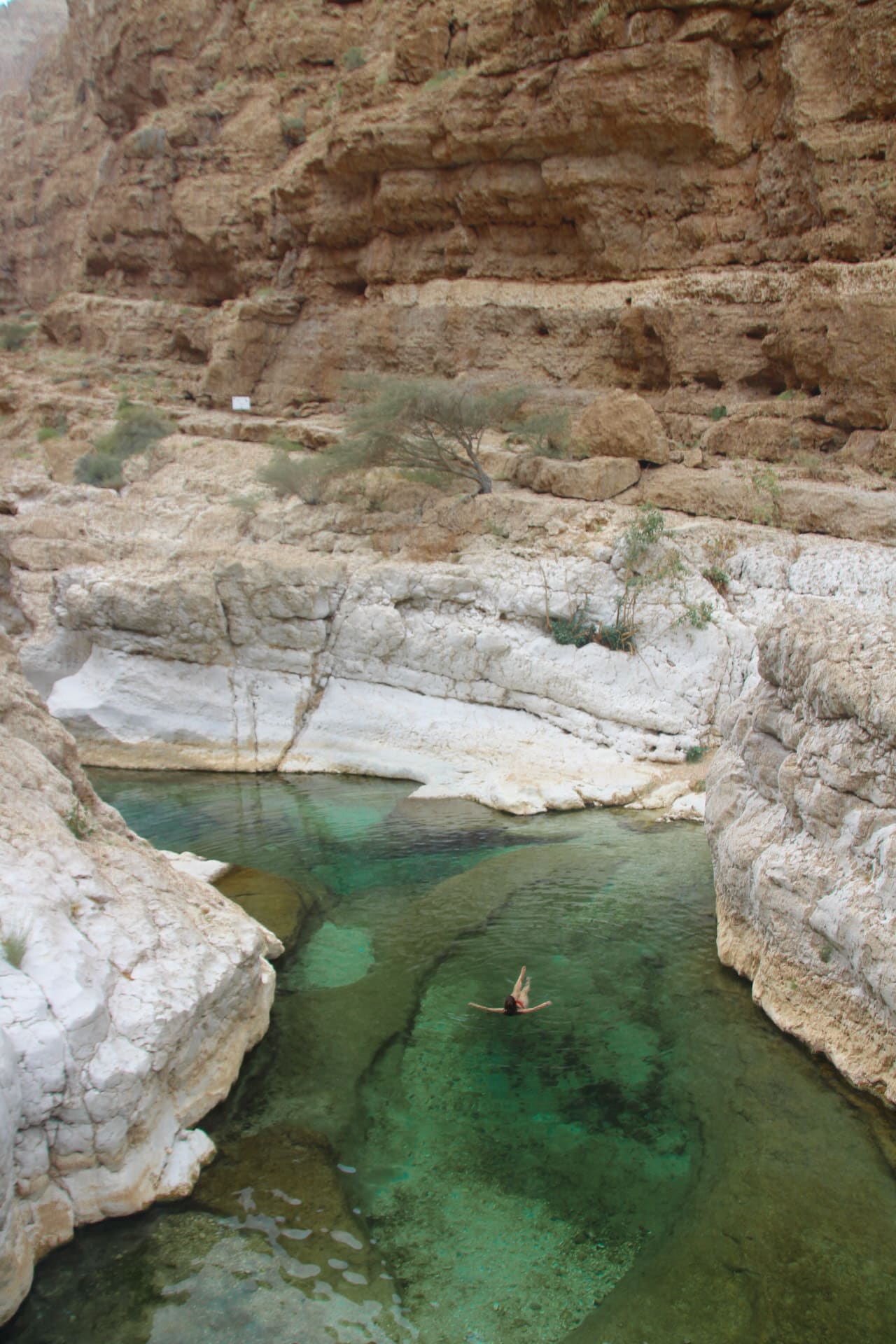 wadi shab