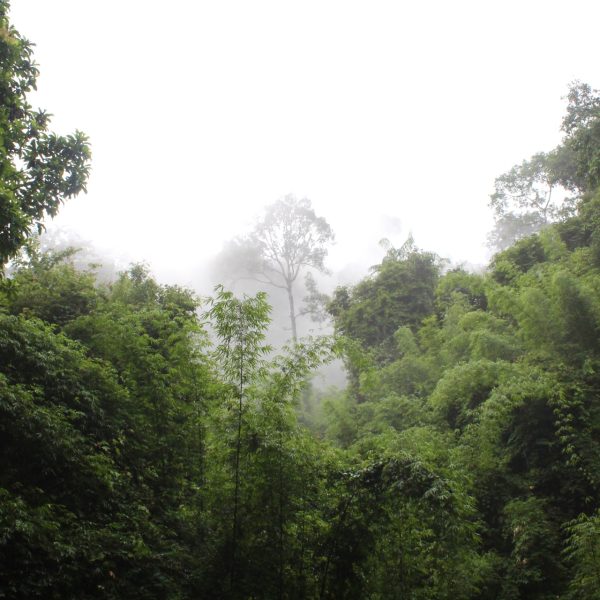 Roadtrip Thailand: 2 tot 3 weken