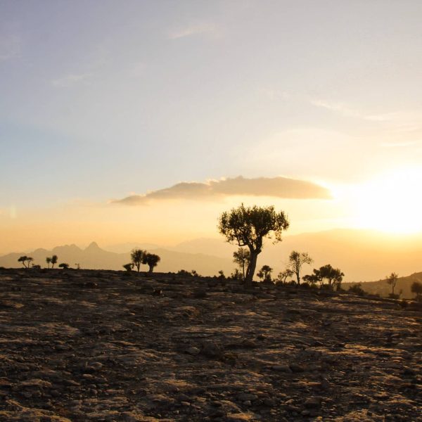 Hiken in Oman: The Balcony Walk (W6) in Jebel Shams