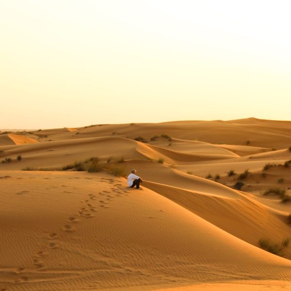 Wahiba Sands in Oman: tips voor de ultieme woestijnervaring