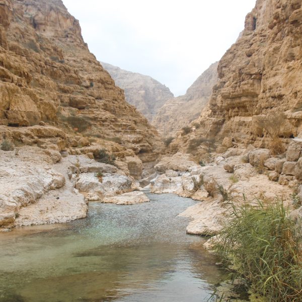 Wadi’s in Oman: Beste tips en routes